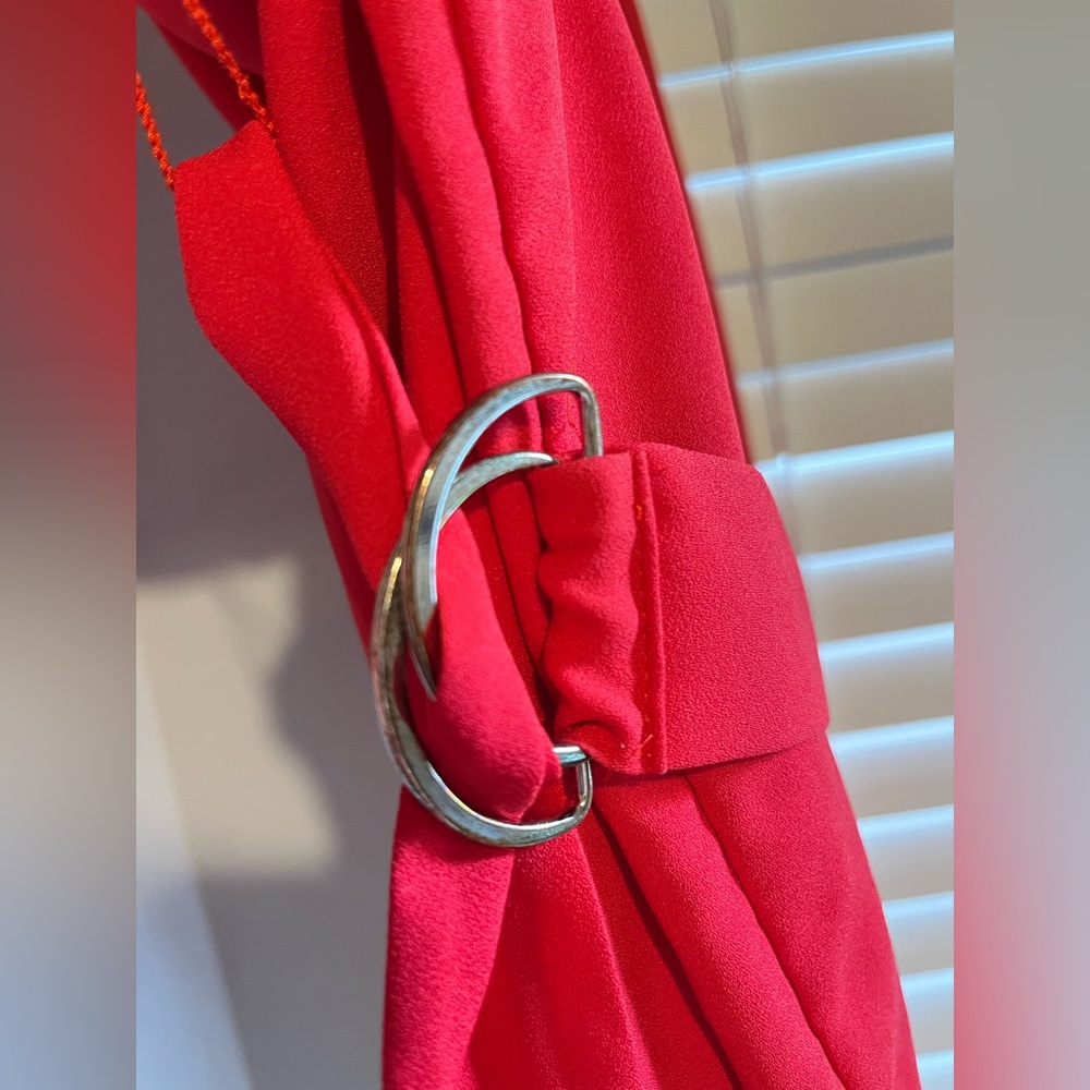 Express Red Dress - Picture 3 of 8